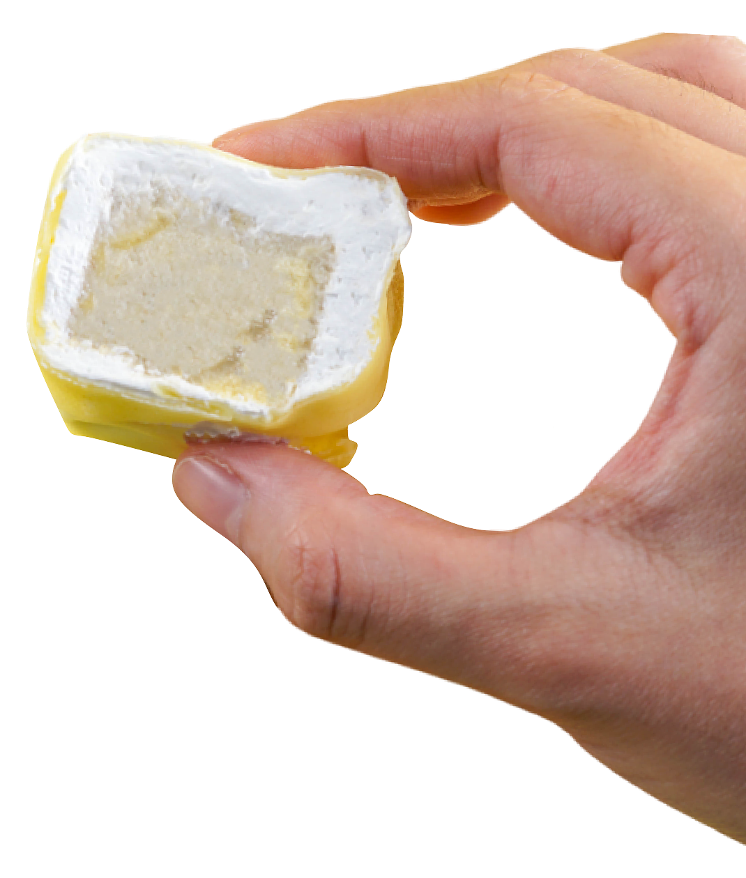 Quality Bottom Right